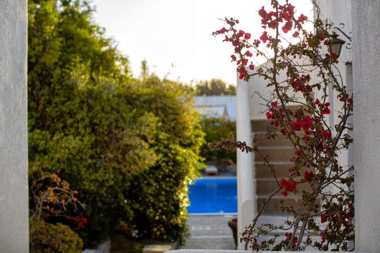 Andromeda Residence Mykonos Town Exteriér fotografie