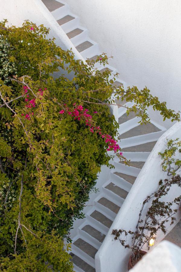 Andromeda Residence Mykonos Town Exteriér fotografie
