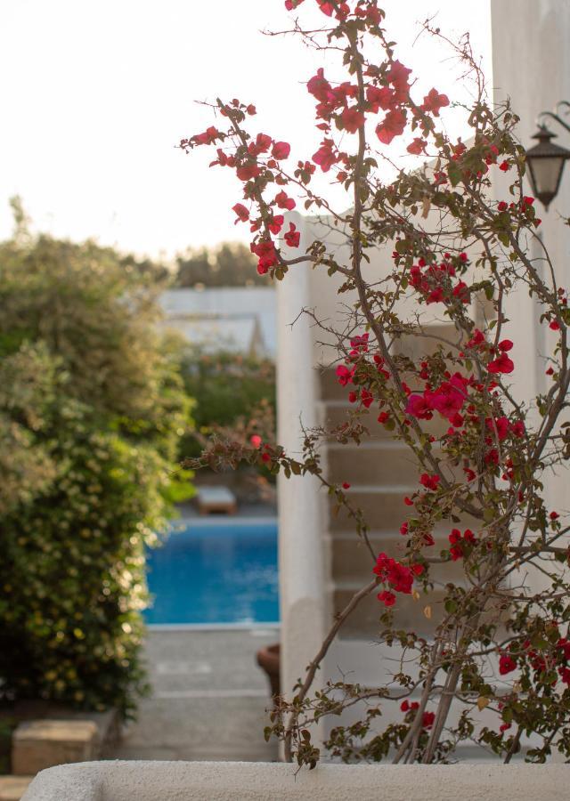 Andromeda Residence Mykonos Town Exteriér fotografie